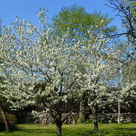 Jurna Recreation Farm Upa