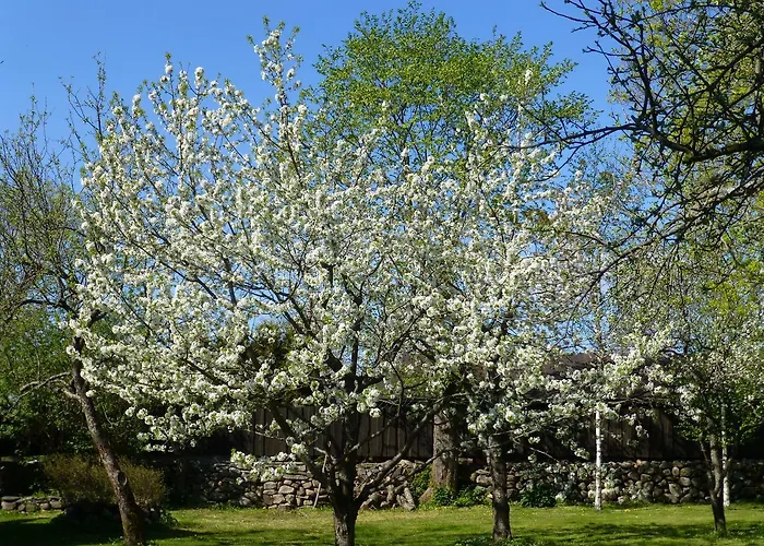 Jurna Recreation Farm Upa